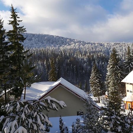Vila Babylon Predeal Zewnętrze zdjęcie