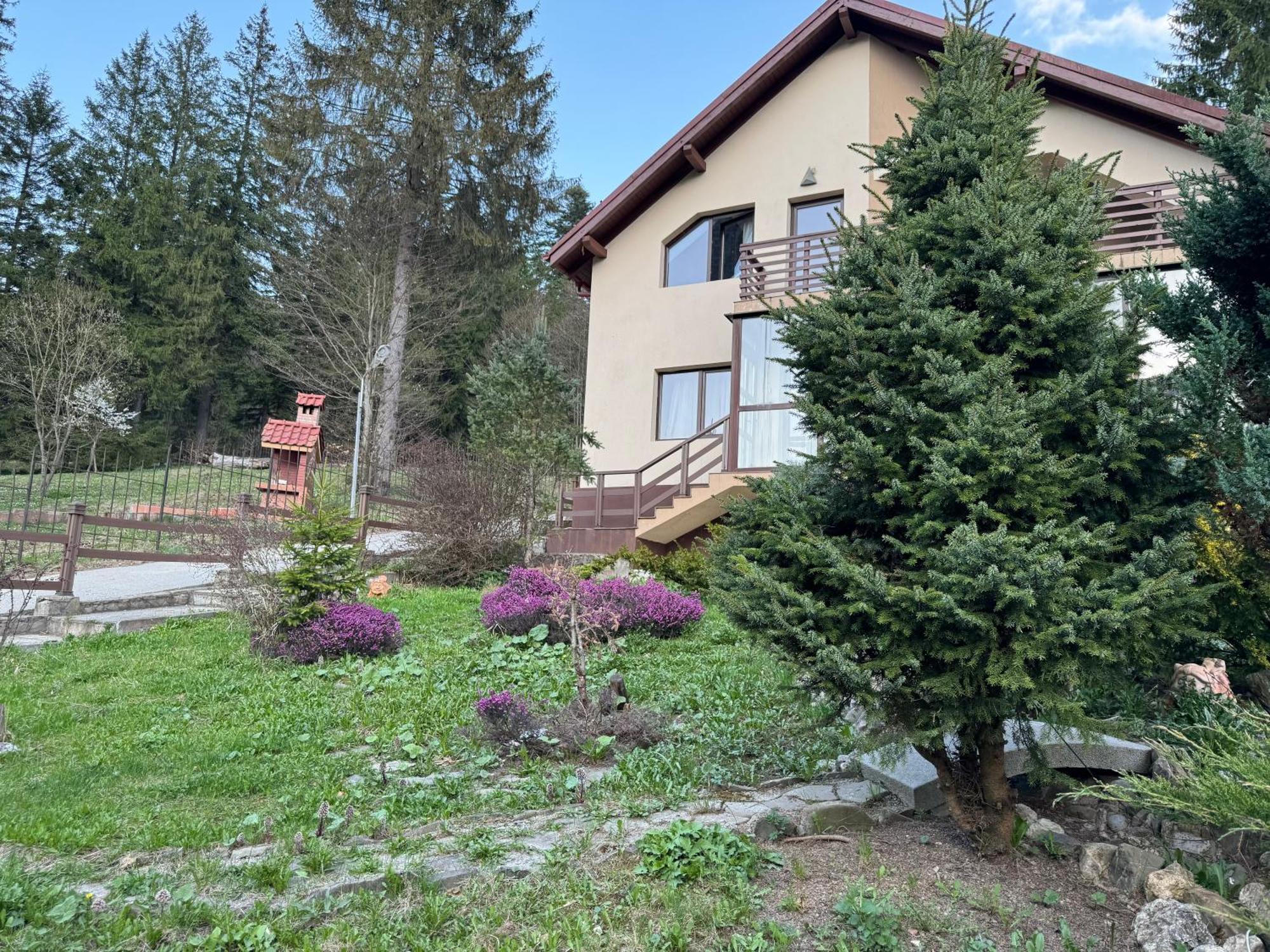 Vila Babylon Predeal Zewnętrze zdjęcie